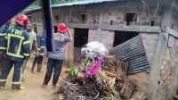 ছবি