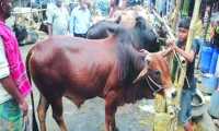 ছবি