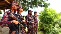 ছবি
