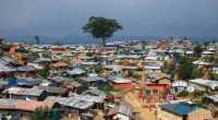 ছবি