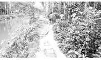 ছবি