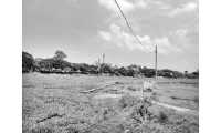 ছবি