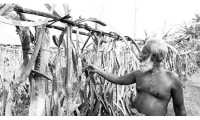 ছবি