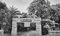 ছবি