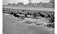 ছবি