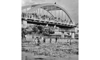 ছবি