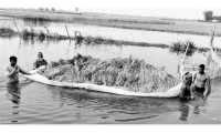 ছবি