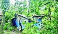 ছবি