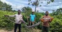 ছবি