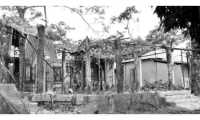ছবি