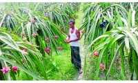 ছবি