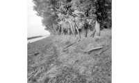 ছবি