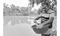 ছবি