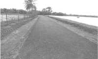 ছবি