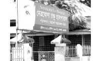 ছবি