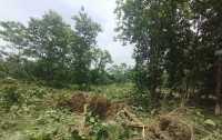 ছবি