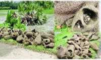 ছবি