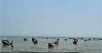 ছবি