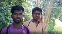 ছবি