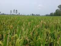 ছবি