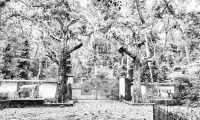 ছবি