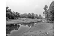 ছবি