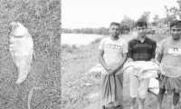 ছবি