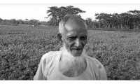 ছবি