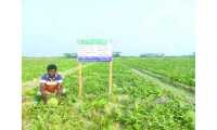 ছবি