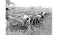 ছবি