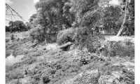ছবি