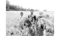 ছবি