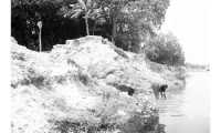 ছবি