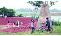 ছবি