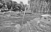 ছবি
