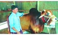 ছবি