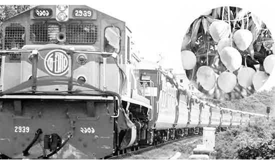 Katta dumba bilan BBW porno