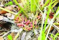 ছবি