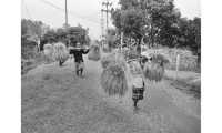 ছবি