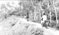 ছবি