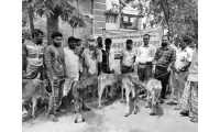 ছবি