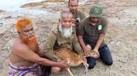 ছবি