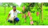 ছবি