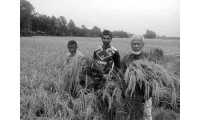 ছবি