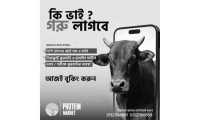 ছবি