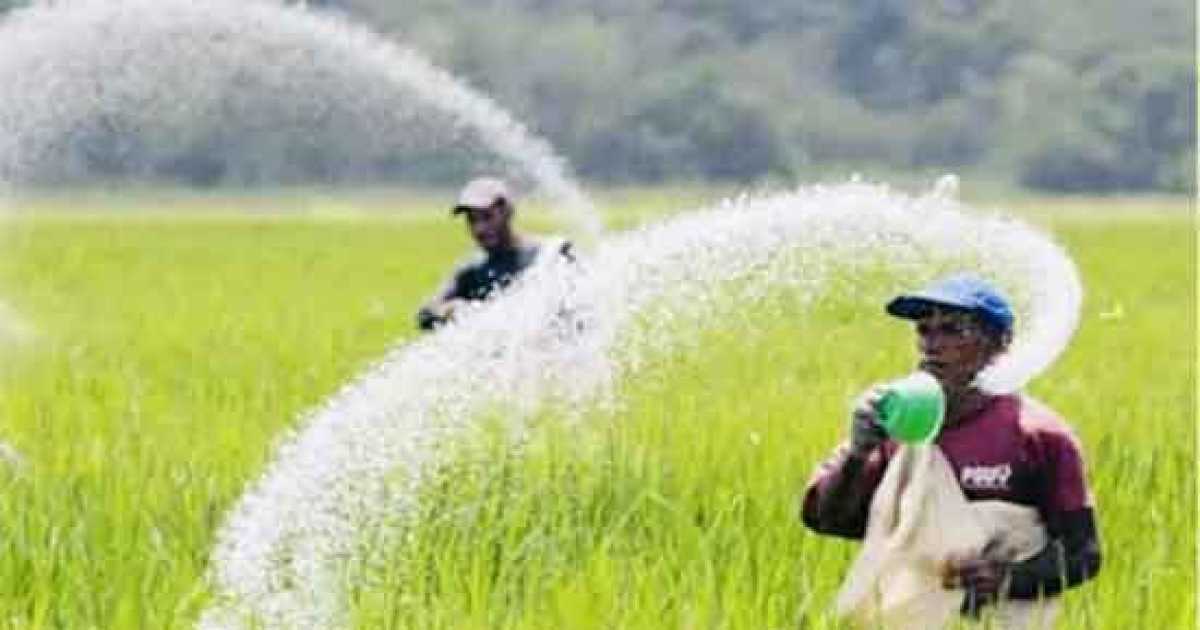 ২ লাখ ১০ হাজার টন সার আমদানির সিদ্ধান্ত