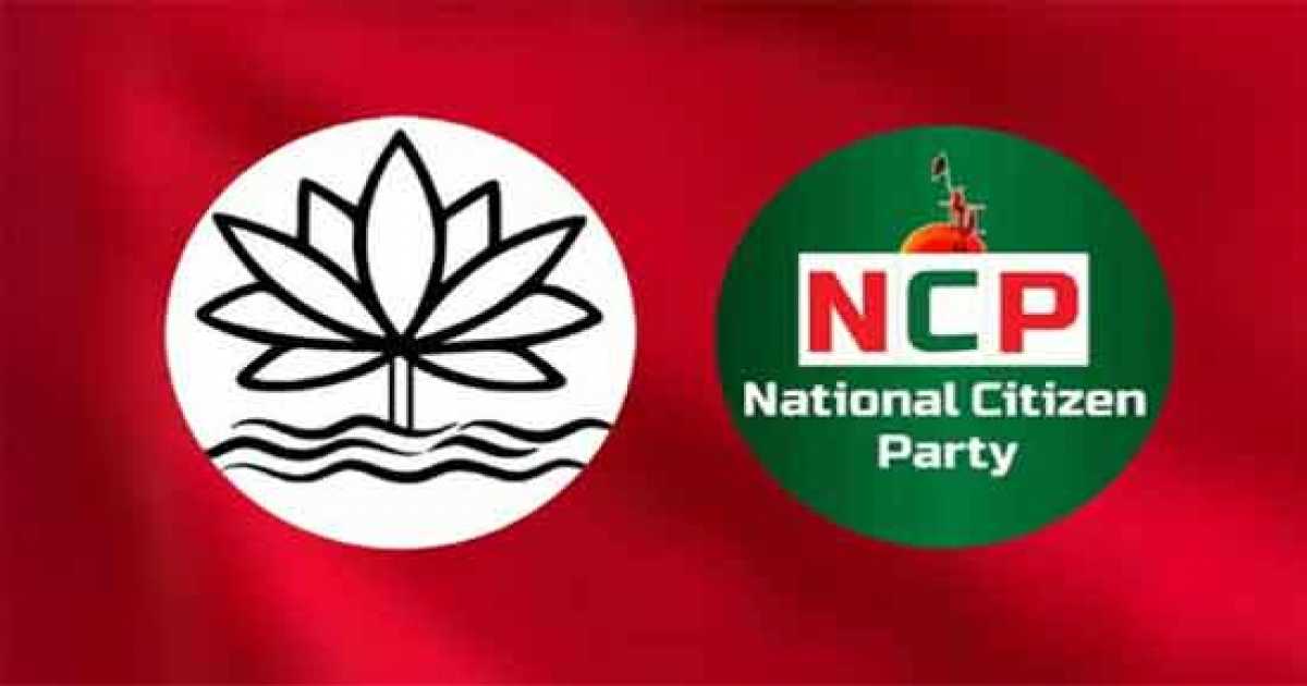 নির্বাচনী প্রতীক ‘শাপলাই’ কেন চায়, ব্যাখ্যা দিল এনসিপি