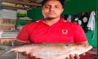 ছবি