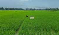 ছবি