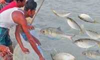 ছবি